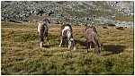 170824-06.jpg