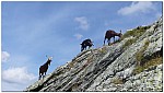 170824-14.jpg