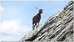 170824-15.jpg