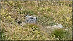 170824-18.jpg