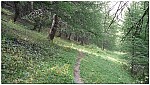 170825-07.jpg 170825-07.jpg