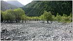 170826-03.jpg 170826-03.jpg