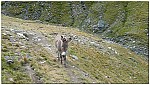 170826-11.jpg 170826-11.jpg