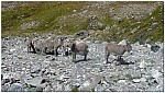 170826-38.jpg 170826-38.jpg