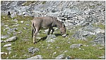 170826-39.jpg 170826-39.jpg