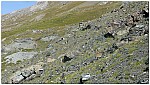 170826-41.jpg 170826-41.jpg