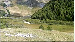 170826-49.jpg 170826-49.jpg