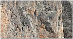 170827-11.jpg
