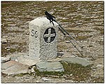 170827-38.jpg