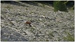 170828-03.jpg