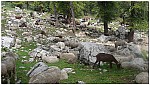 170828-17.jpg