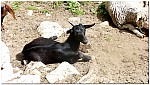 170828-19.jpg